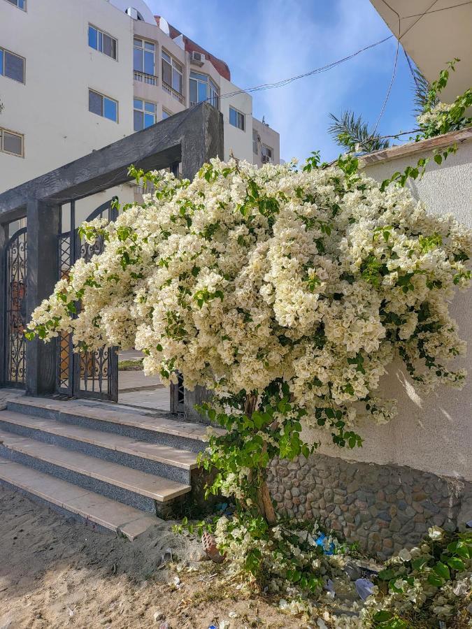 Apartments 1000 And 1 Night Redsealine Хургада Екстериор снимка